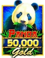 รีวิว demo slot pp เกมที่คุ้มค่าควรลอง